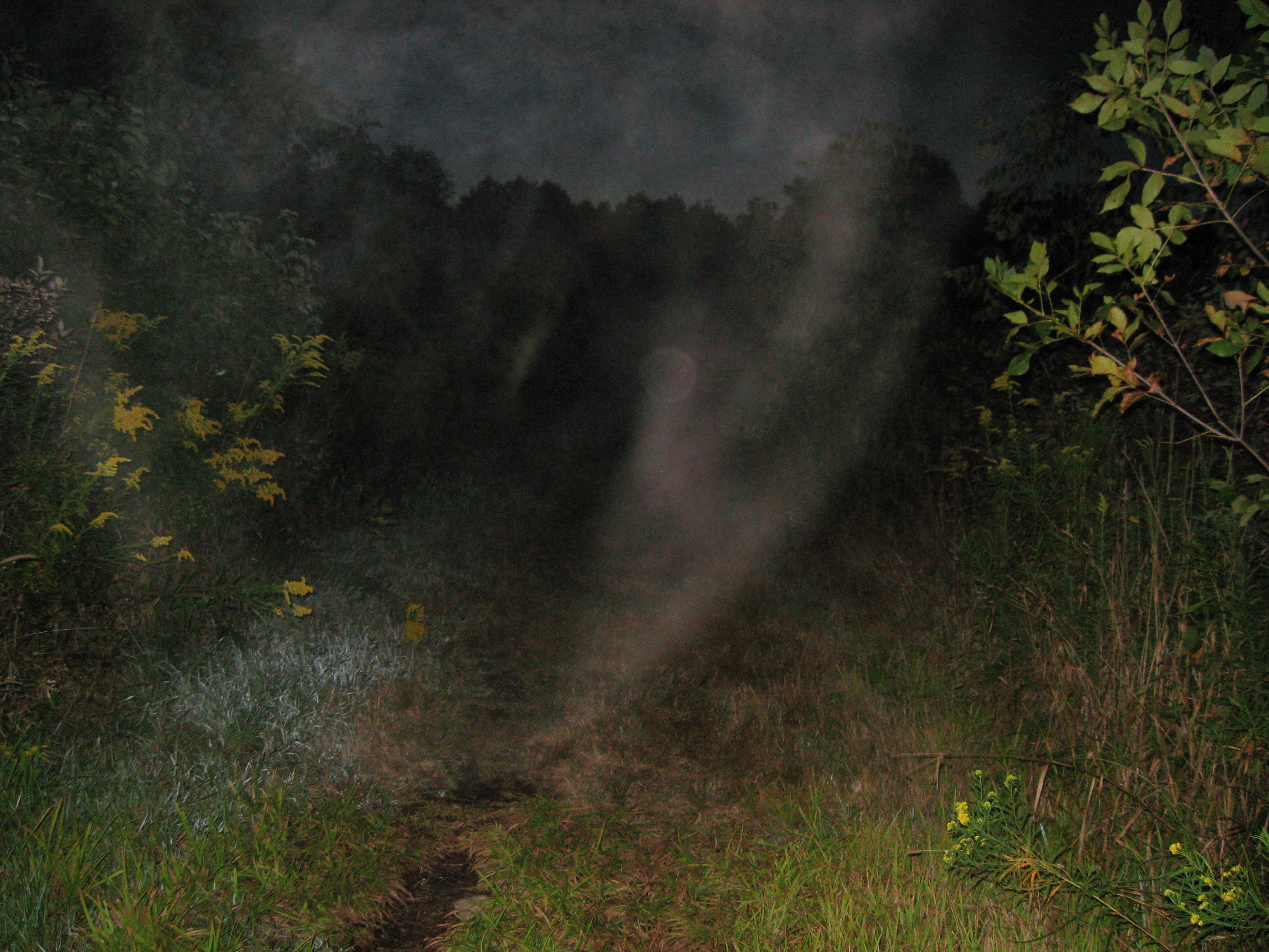 mist_orb.jpg