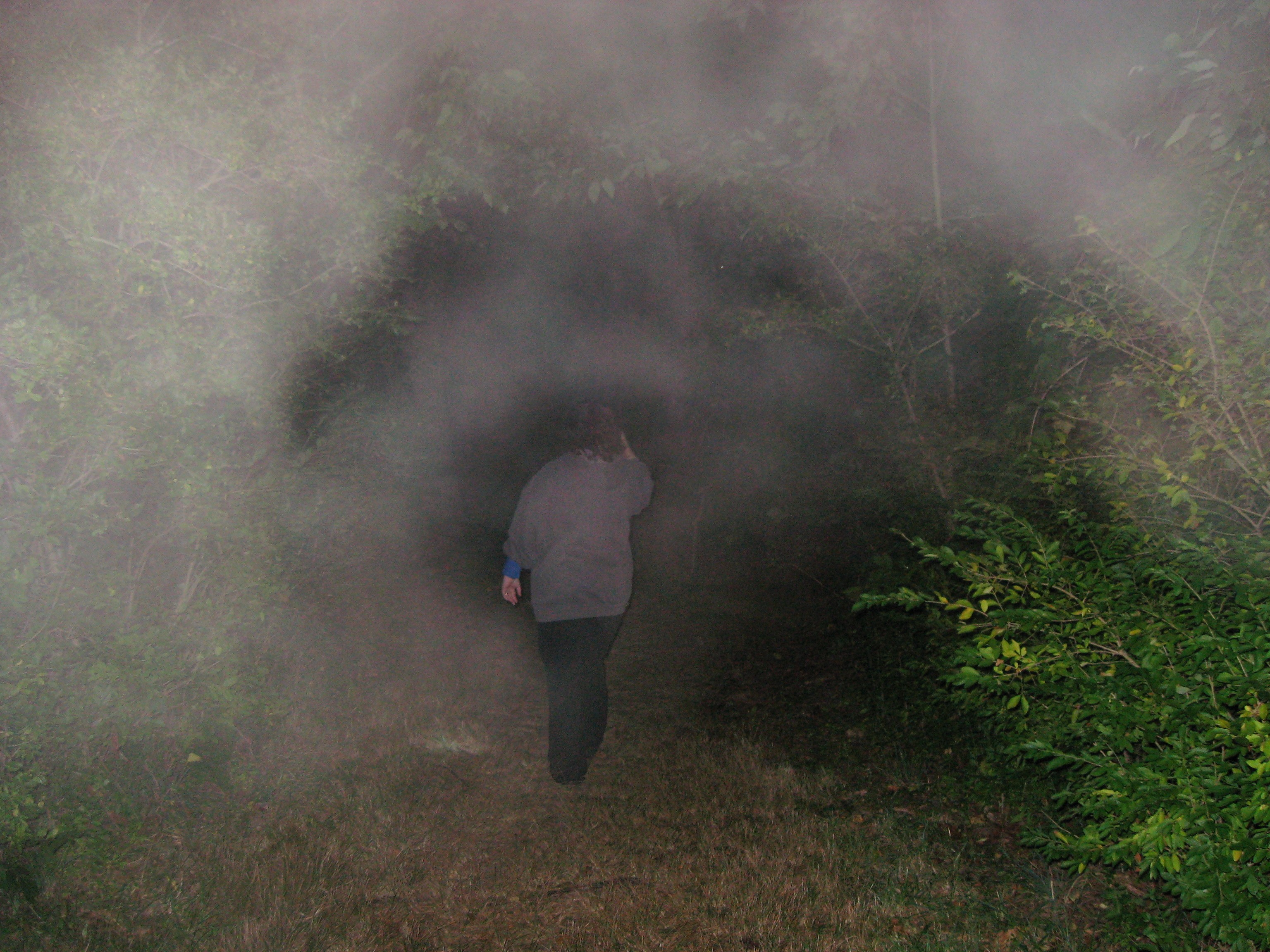 walkingintothemouth.jpg